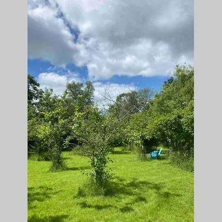 Gorgeous Comfortable Barn With Huge Private Orchard In Quiet Suffolk Location Depden Esterno foto