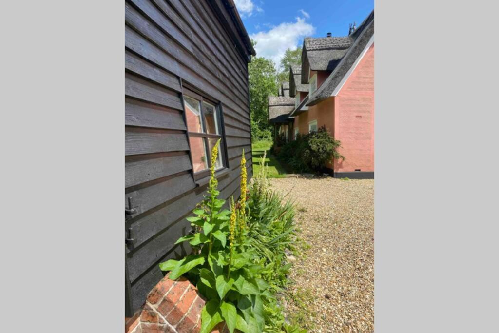 Gorgeous Comfortable Barn With Huge Private Orchard In Quiet Suffolk Location *