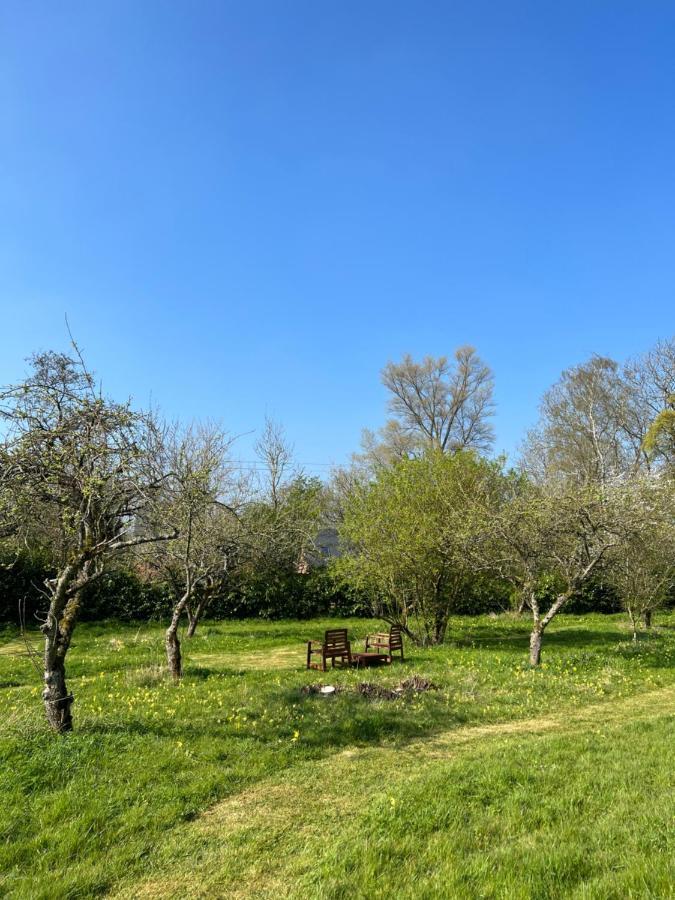 Gorgeous Comfortable Barn With Huge Private Orchard In Quiet Suffolk Location Apartment *